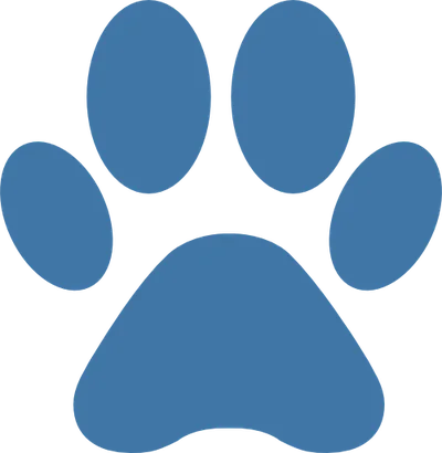Dogwalk Paw
